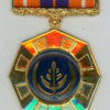 South Africa. Pro Patria Medal