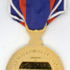 DoT. Distinguished Service Medal - Image 2