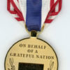 Defense of Freedom Medal - Image 3