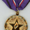 Department of Defense. Gold Medal of Remembrance